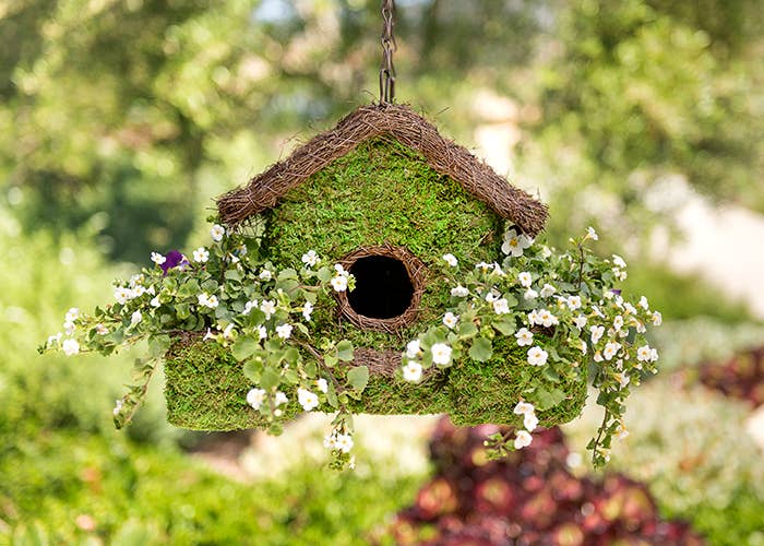 Plantable Maison Patio Birdhouse