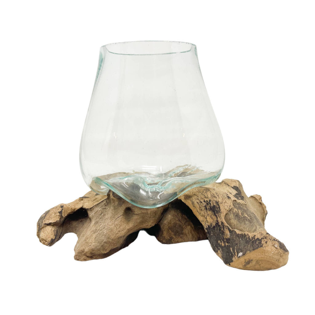 X-Small Glass & Driftwood Terrarium (approx. 10"x 6" x 8"h)