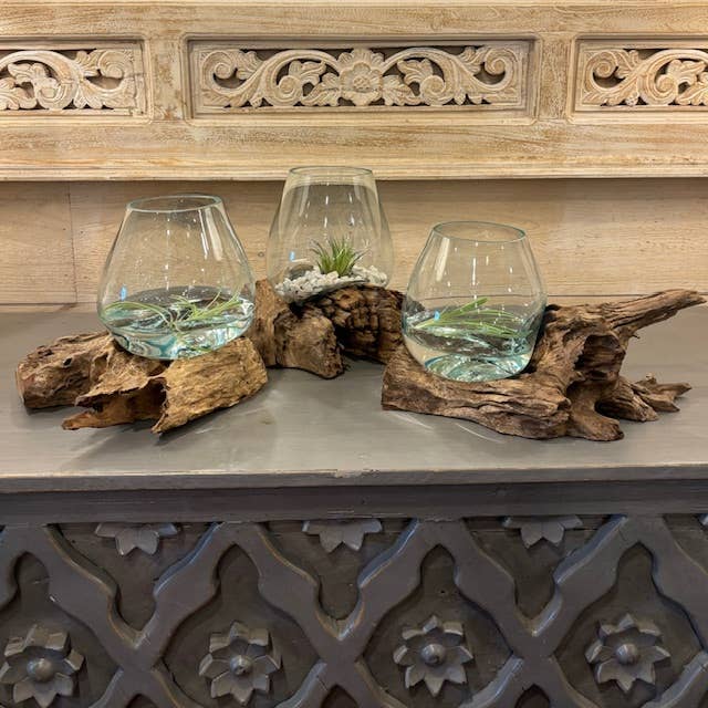 X-Small Glass & Driftwood Terrarium (approx. 10"x 6" x 8"h)