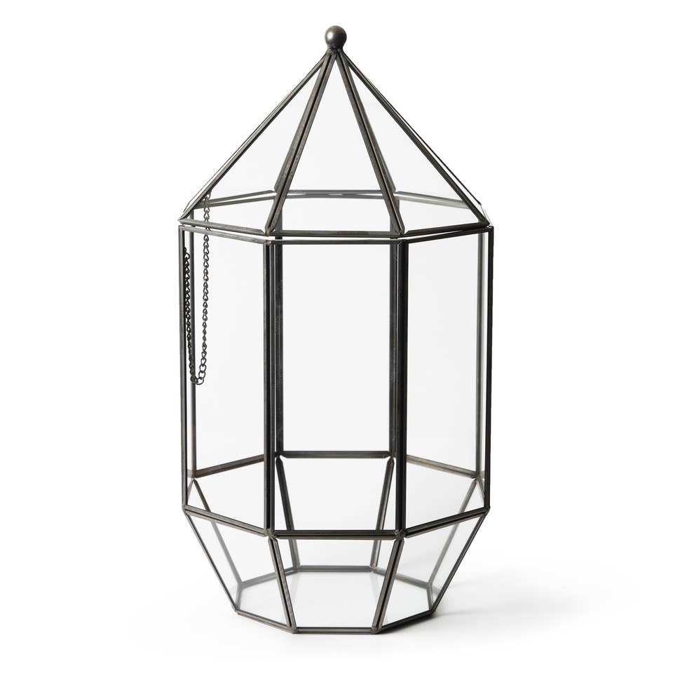 Glass Terrarium