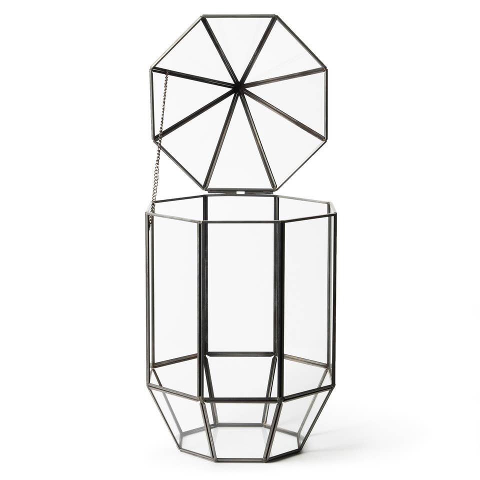 Glass Terrarium