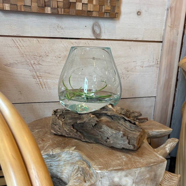 X-Small Glass & Driftwood Terrarium (approx. 10"x 6" x 8"h)
