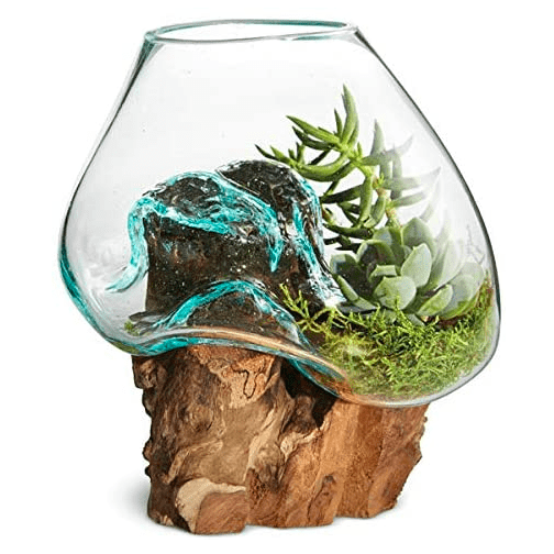 Molten Glass & Wood Terrarium (approx. 12"x10"x10")